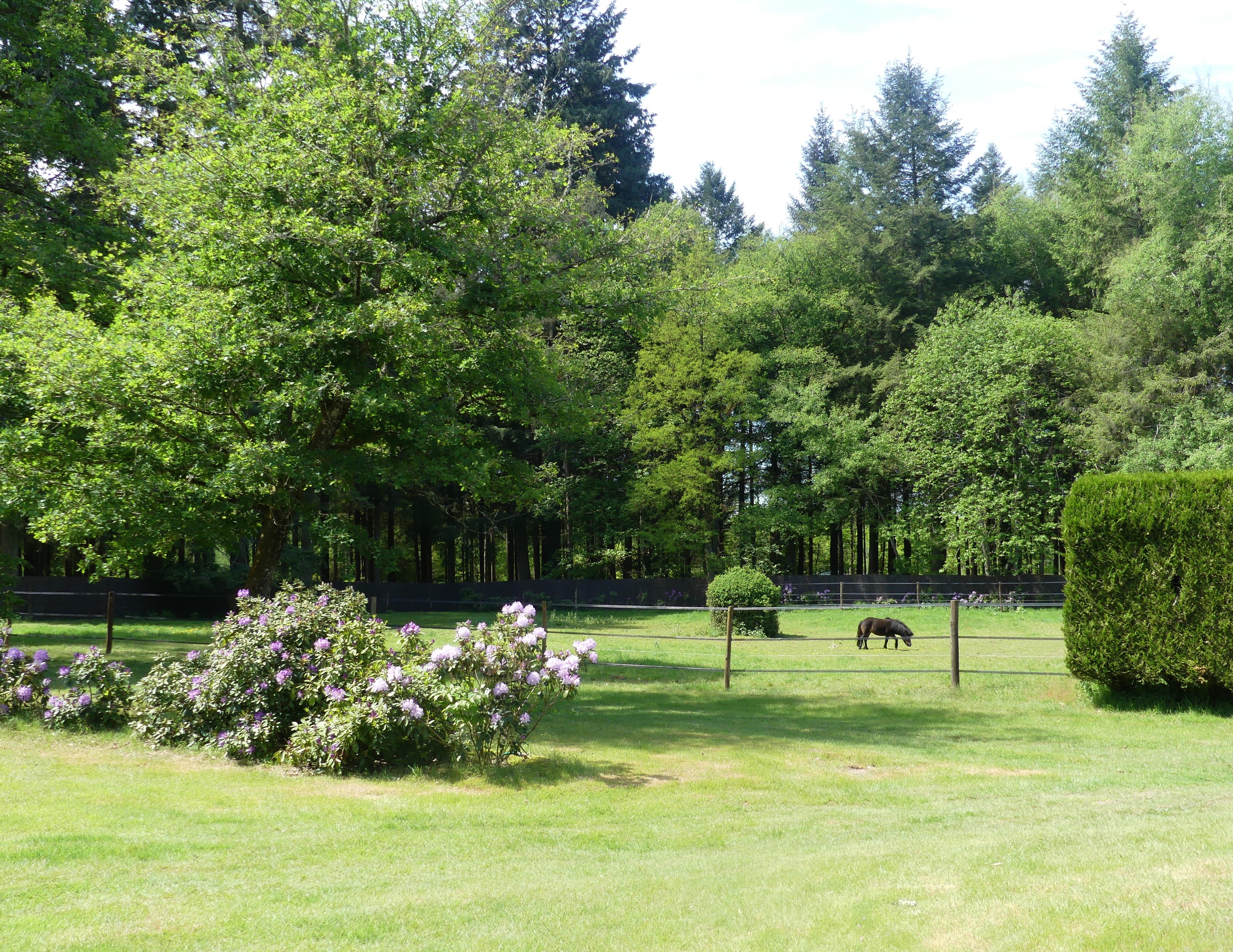 Au plein coeur de la Sologne
